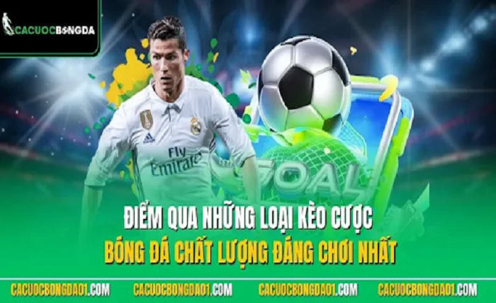 Trang Cá Cược