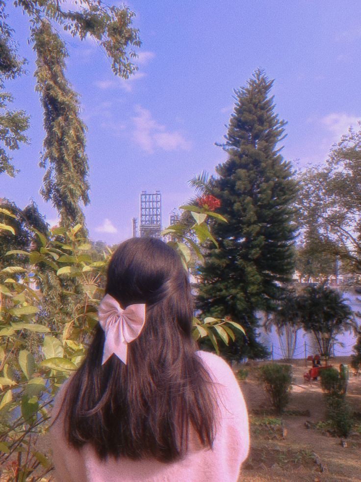 beautiful-whatsapp-dp-butterfly