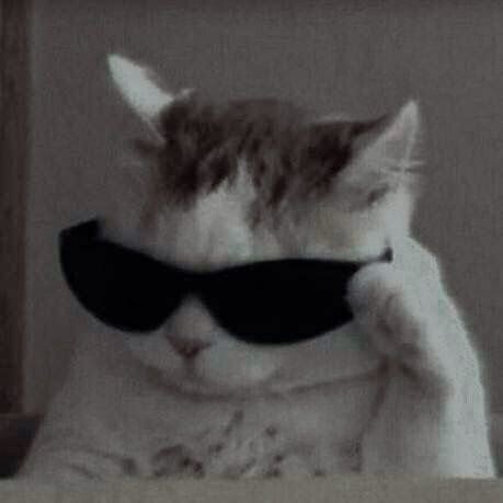 cool-dp-for-whatsapp-attitude