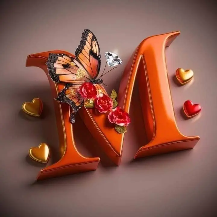 M-name-dp