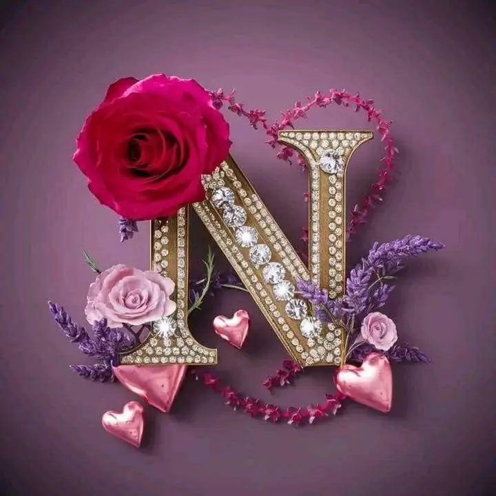 N-name-dp-black