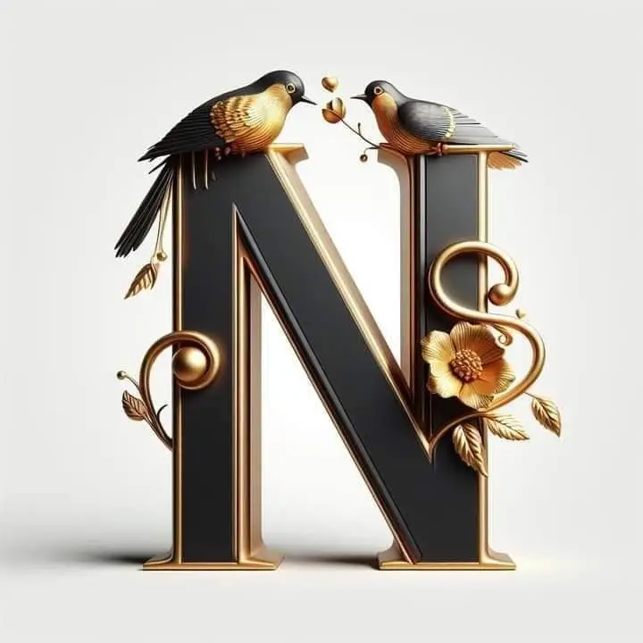 N-name-dp-black