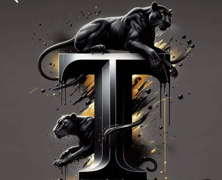 T-name-stylish-dp