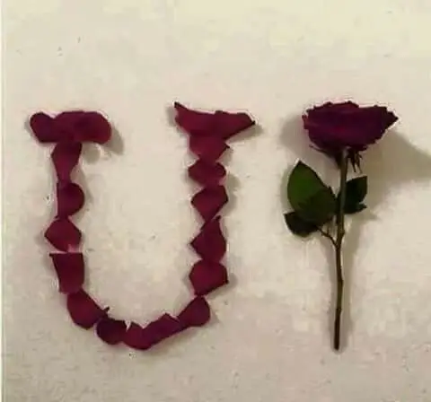 U-name-beautiful-photo