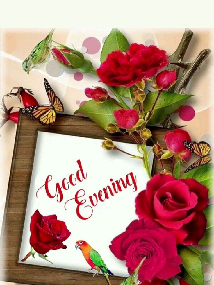 amazing-good-evening-images