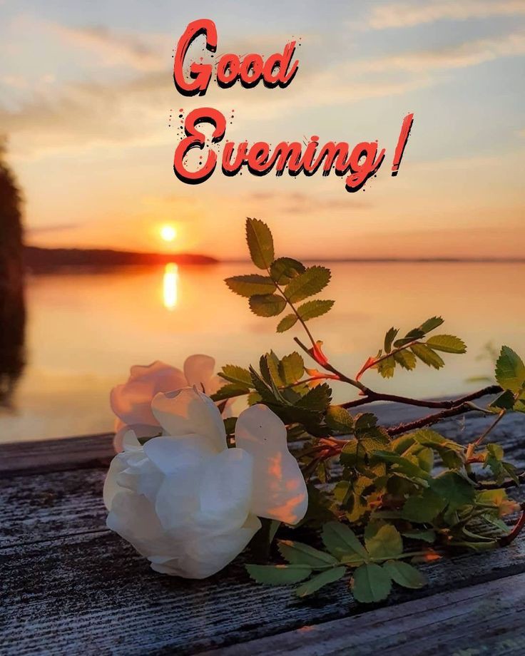 beautiful-good-evening-images-for-whatsapp-with-quotes