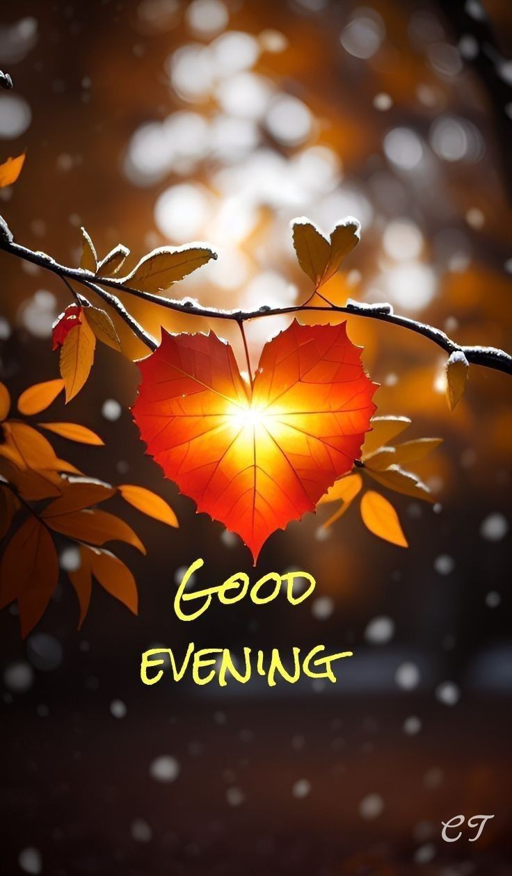 beautiful-good-evening-images-for-whatsapp-with-quotes