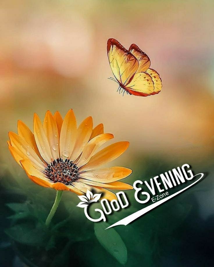 blessed-good-evening-images