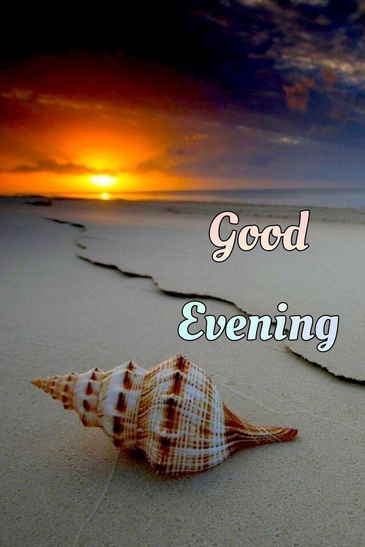 good-evening-darling-images
