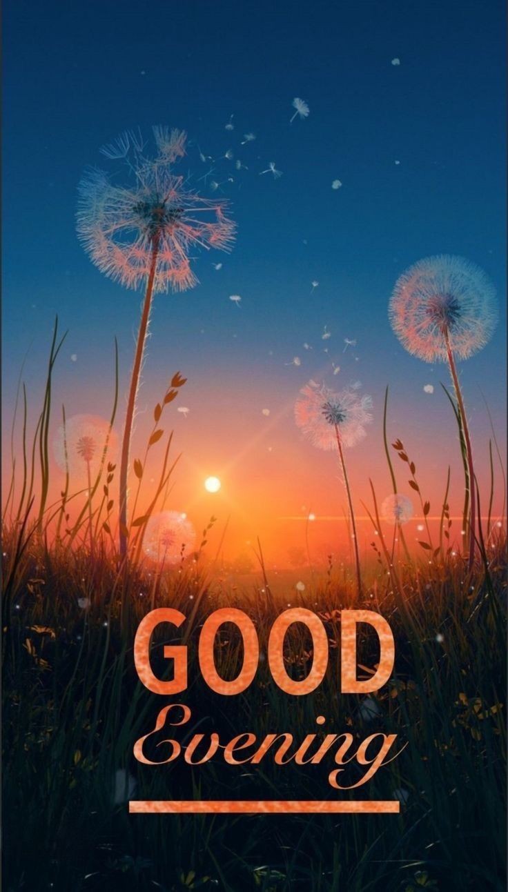 good-evening-dear-images