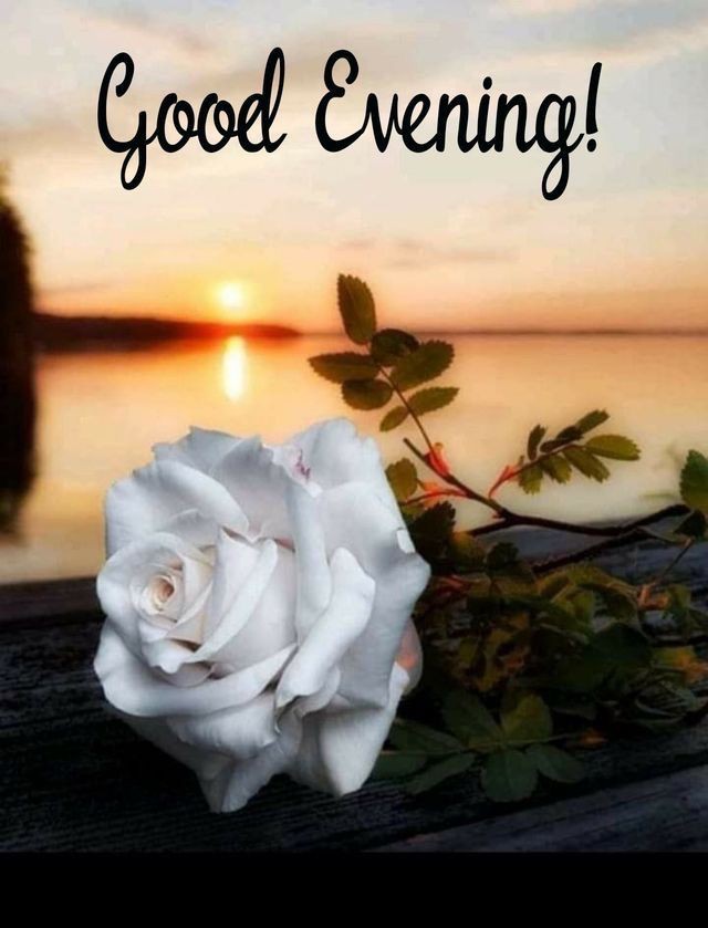 good-evening-images-arabic