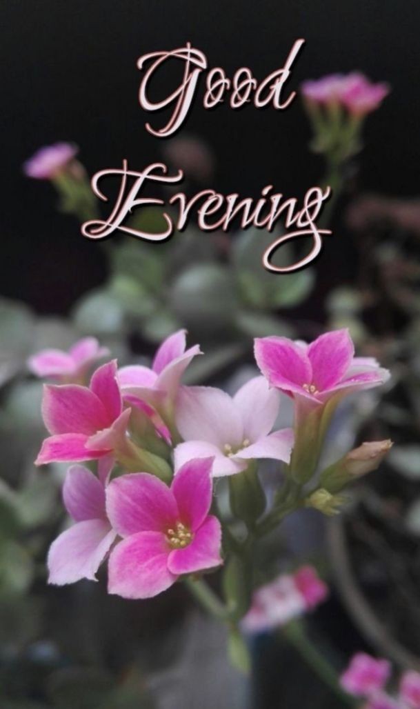 good-evening-images-bengali-love