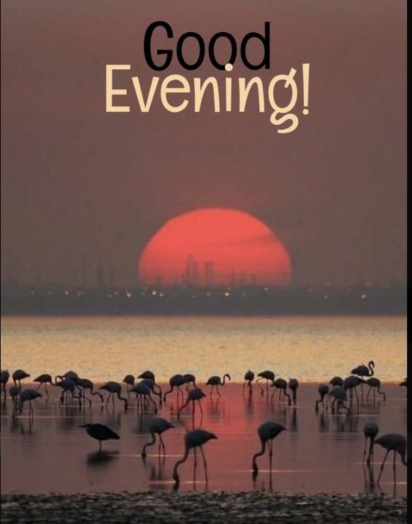 good-evening-images-chinese