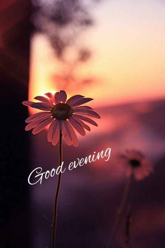 good-evening-images-cute