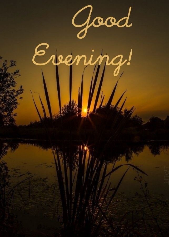 good-evening-images-dear