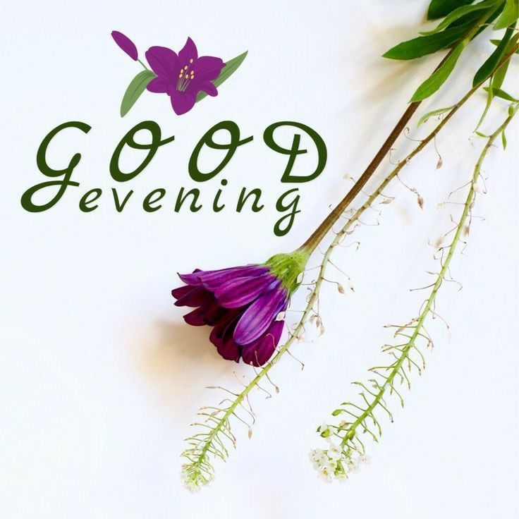 good-evening-images-dear