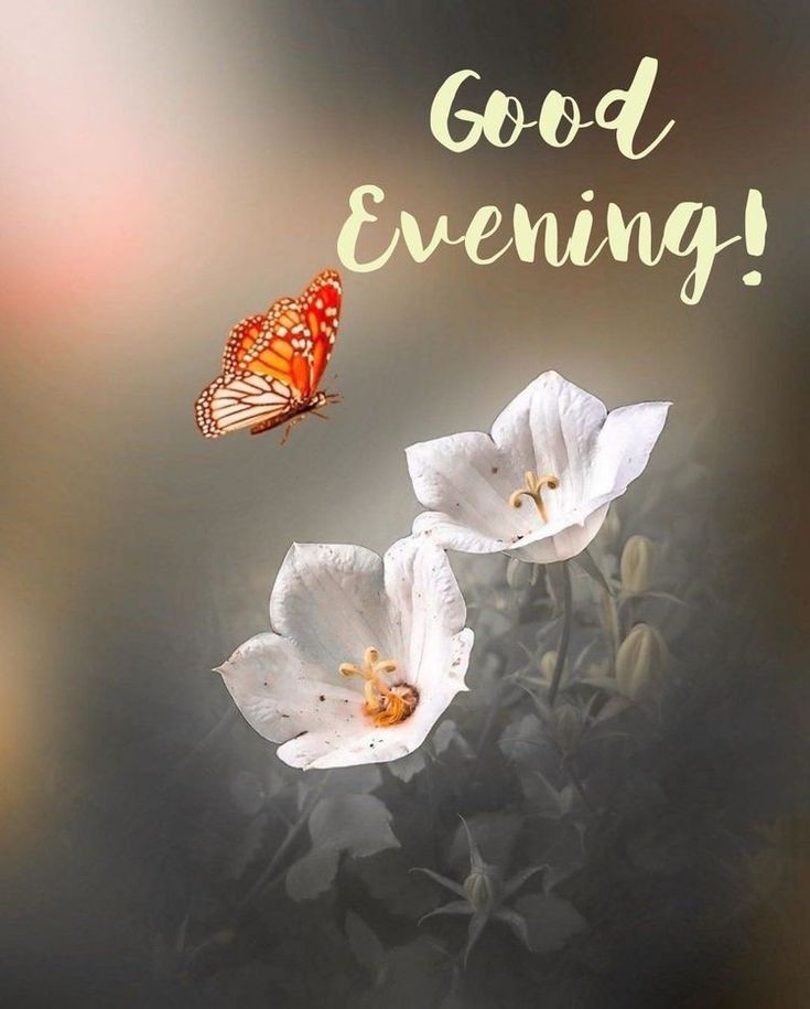 good-morning-images-download