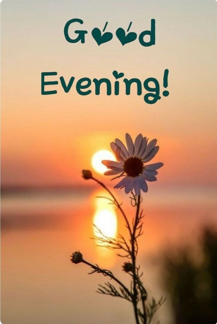 good-morning-images-download-for-whatsapp